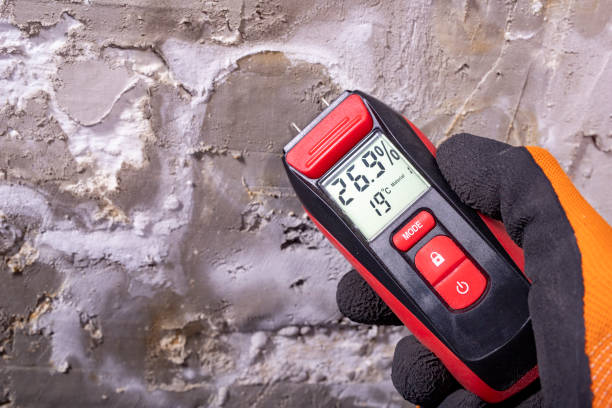 Best Post-Remediation Services in Charleston, MS