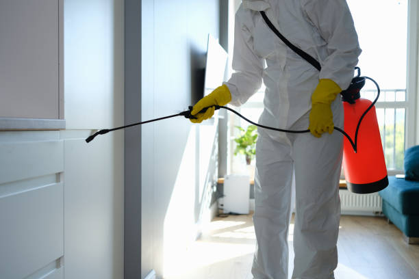 Best Kitchen Mold Remediation in Charleston, MS