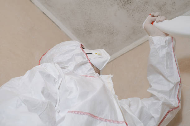 Trusted Charleston, MS Mold Remediation Experts