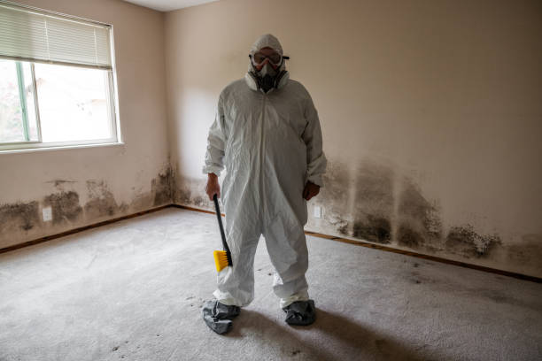 Best Mold Remediation for Specific Building Types in Charleston, MS